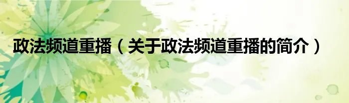 政法频道重播（关于政法频道重播的简介）
