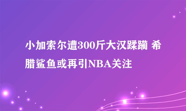 小加索尔遭300斤大汉蹂躏 希腊鲨鱼或再引NBA关注