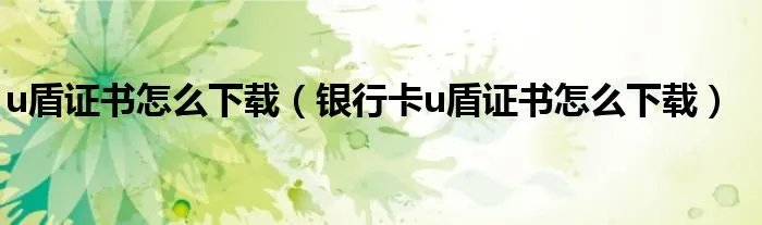 u盾证书怎么下载（银行卡u盾证书怎么下载）
