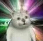 X门,更适合中国宝宝体质的善恶观