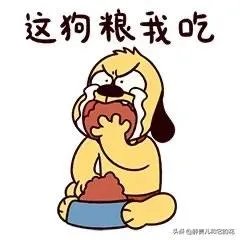 哈士奇吃什么狗粮好?