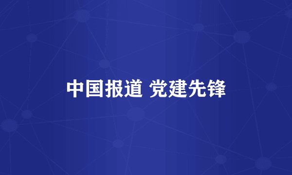 中国报道 党建先锋