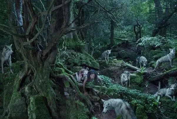 印度的狼孩卡玛拉:被狼哺育的女孩(在16岁时去世)