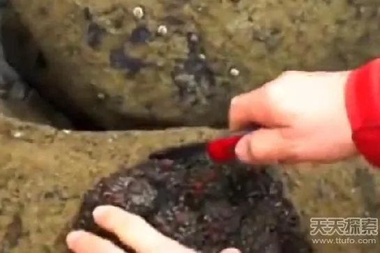 男子捡到奇石:切开后惊呆众人（意想不到）