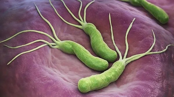 天津公布20例阳性轨迹涉多家超市菜市场  新冠病毒易感人群有哪些？