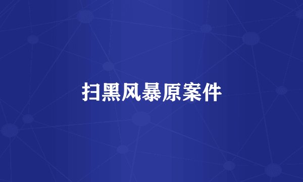 扫黑风暴原案件