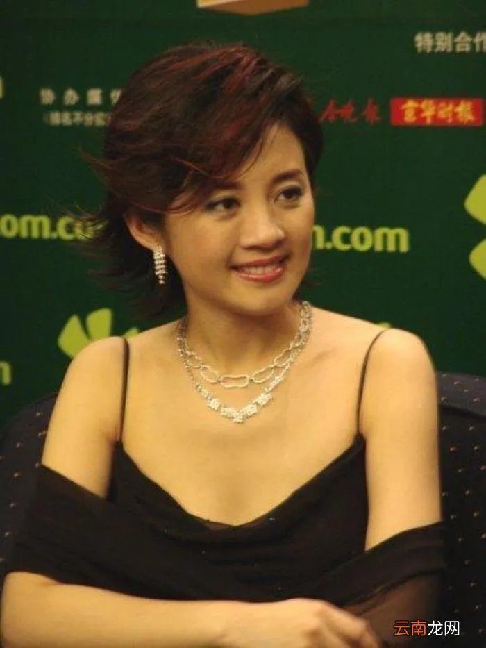 主持人许戈辉插足豪门当小三 许戈辉 小三