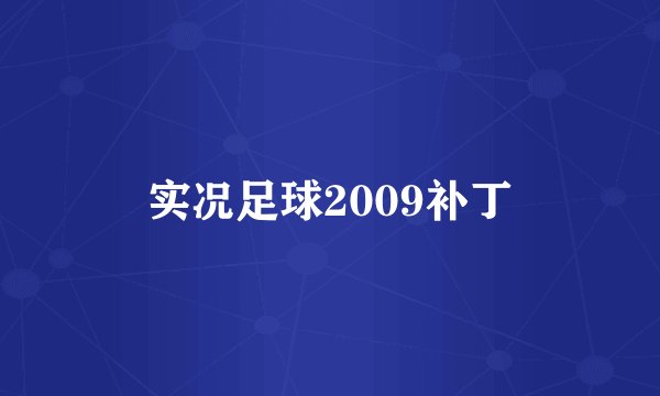 实况足球2009补丁