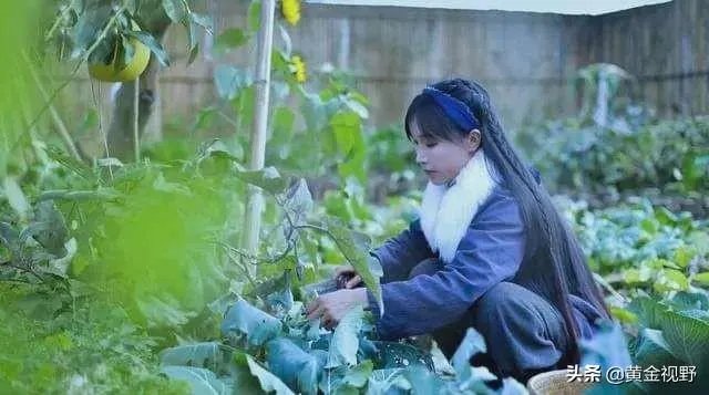 李子柒到底文化输出了什么?