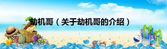 劫机哥（关于劫机哥的介绍）