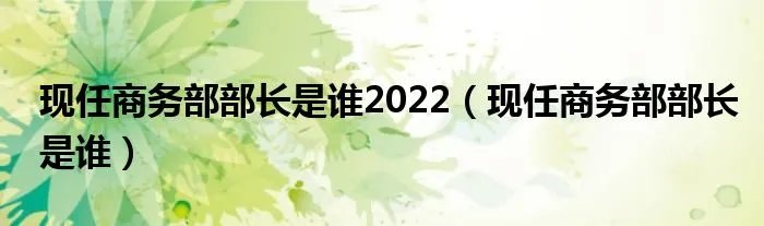 现任商务部部长是谁2022(现任商务部部长是谁)