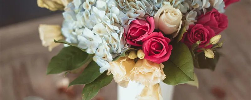 玫瑰之国是什么国家 玫瑰之国是哪个国家