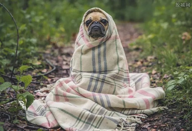 日讨论征收单身税 中国会不会征收单身税?