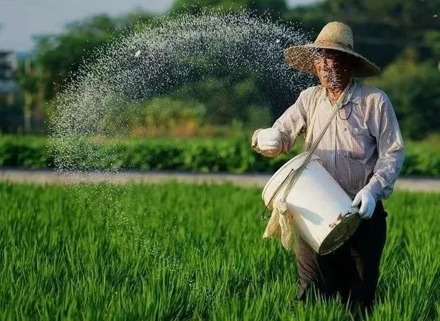 舒兰疫情后，现在农民种地怎么办？