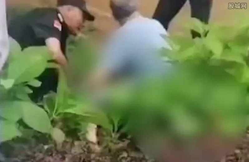 儿童从17楼坠落自述被人推下 公安已介入孩子仍在救治中