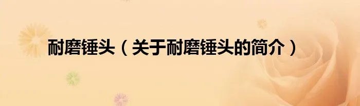 耐磨锤头（关于耐磨锤头的简介）