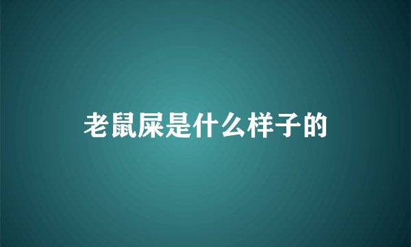 老鼠屎是什么样子的