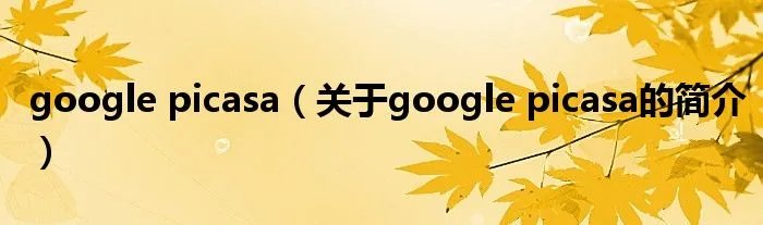 google picasa（关于google picasa的简介）