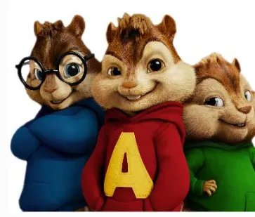 花栗鼠被游客拍伤是怎么回事?