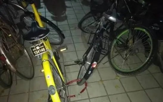 护士锁小黄车被拘是怎么回事?