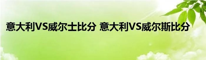 意大利VS威尔士比分 意大利VS威尔斯比分