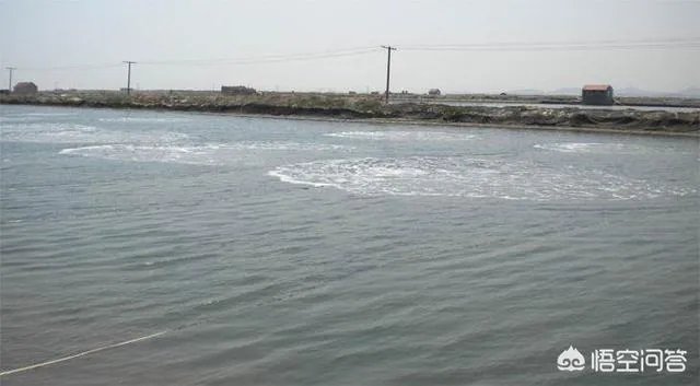 水产养殖增氧机哪种好?