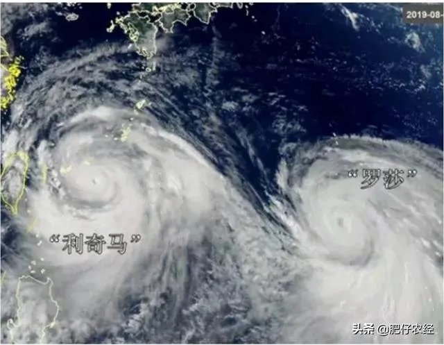 台风“利马奇”登陆我国，对农业造成影响，台风名字是谁给起的？台风名字怎么这么奇怪？