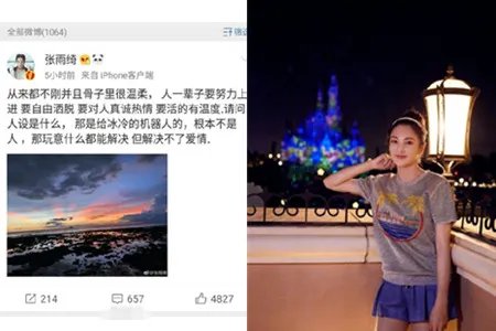 张雨绮离婚后发声 女神回应人设说