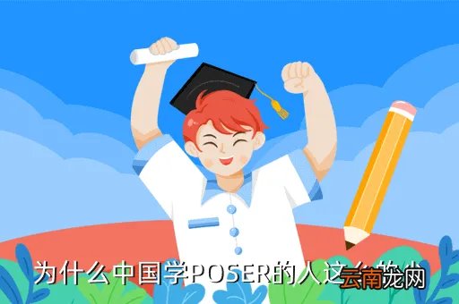 poser中国，poser导入google sketchup