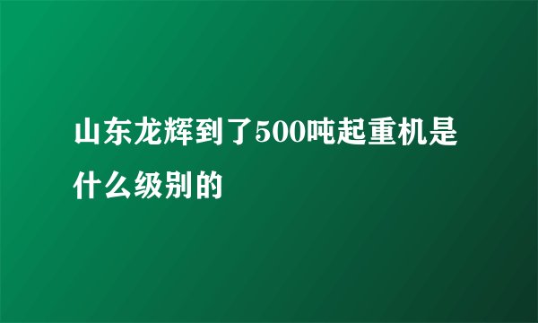 山东龙辉到了500吨起重机是什么级别的