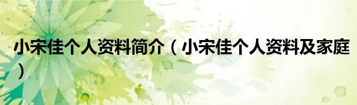 小宋佳个人资料简介(小宋佳个人资料及家庭)