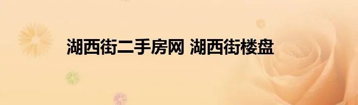 湖西街二手房网 湖西街楼盘