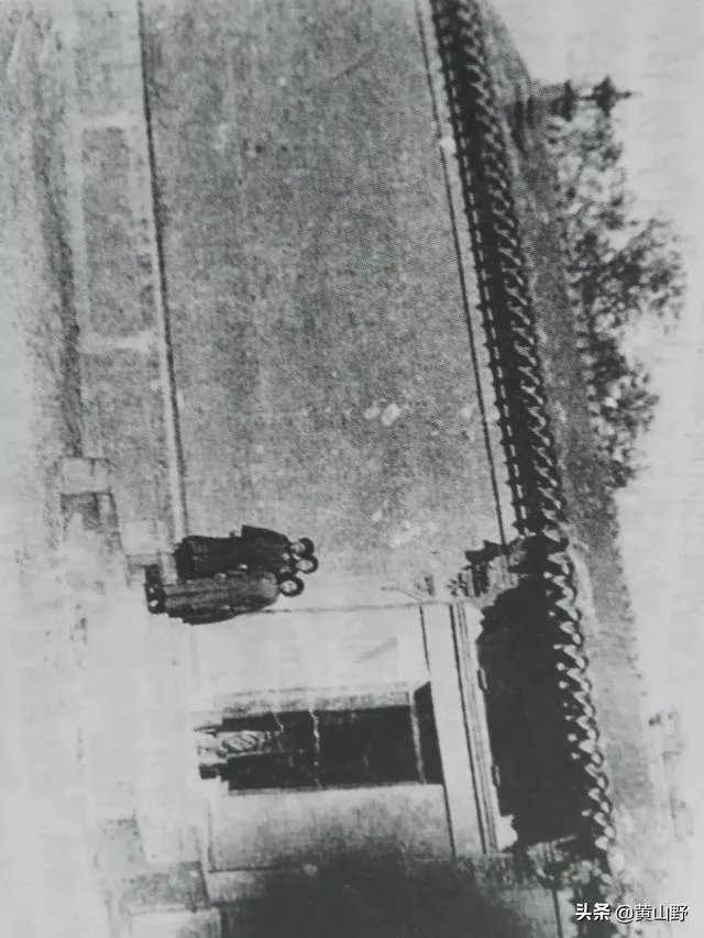 天津土著啥意思