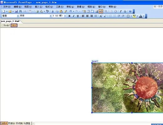 frontpage2003免费版