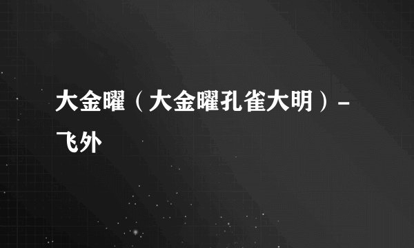 大金曜(大金曜孔雀大明)-飞外