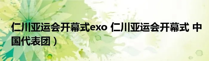 仁川亚运会开幕式exo 仁川亚运会开幕式 中国代表团)