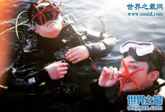 韩国总统怒批权志龙,济州岛抓海星危害生态环境