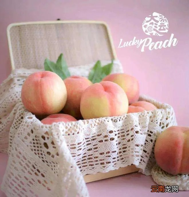 蜜桃成时的时间是什么时候