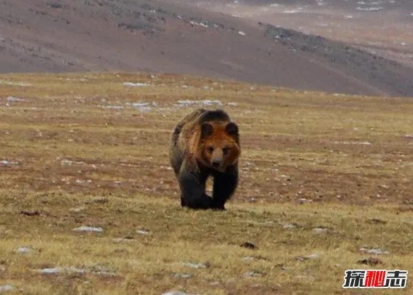 揭中国十大禁区:没胆子千万别去(人为杜撰)