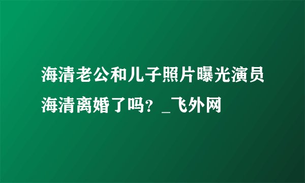 海清老公和儿子照片曝光演员海清离婚了吗？_飞外网