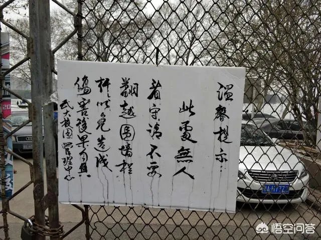 男子武大校园剧烈摇动樱花树，如何有效制止此类行为？