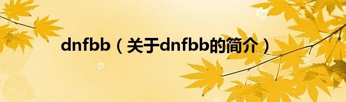 dnfbb（关于dnfbb的简介）