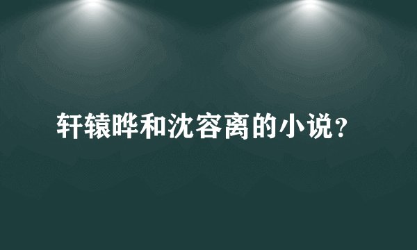 轩辕晔和沈容离的小说？