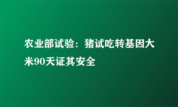农业部试验:猪试吃转基因大米90天证其安全