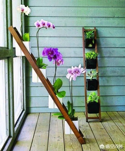 长方形的小阳台怎么打造小花园？