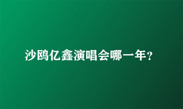 沙鸥亿鑫演唱会哪一年？