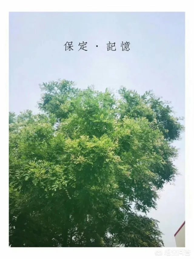 为什么保定的万博和茂业这么近，但是万博却比茂业火那么多？