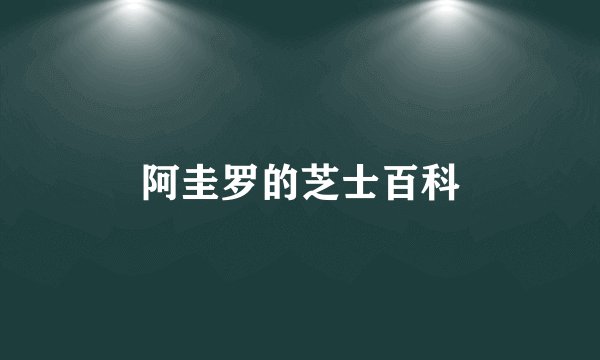阿圭罗的芝士百科