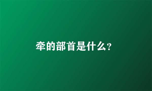 牵的部首是什么？