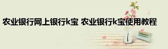 农业银行网上银行k宝 农业银行k宝使用教程